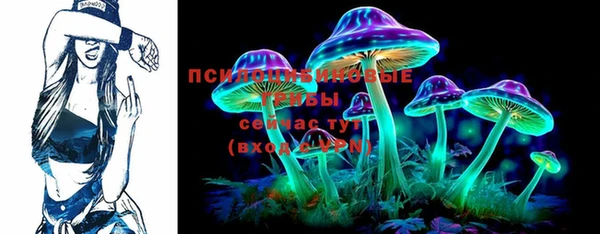 дурь Бронницы