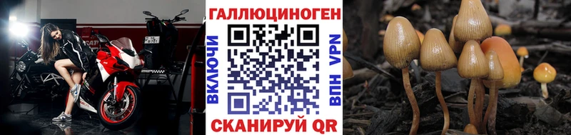 Псилоцибиновые грибы прущие грибы  Высоковск 