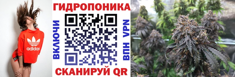 Шишки марихуана White Widow  Высоковск 